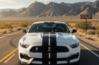 The Ultimate Guide to Buying a Shelby GT350: Taming the Voodoo Snake