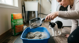 Cheap Cat Litter Scoop: Top Budget Picks and Buying Tips